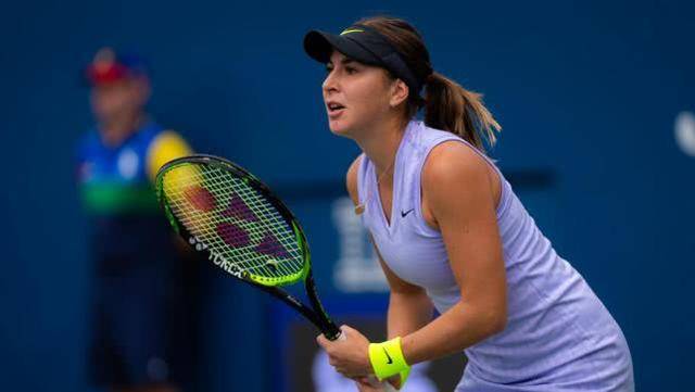 迷的关注 迷的关注